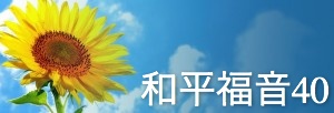 Sunflower Website Banner